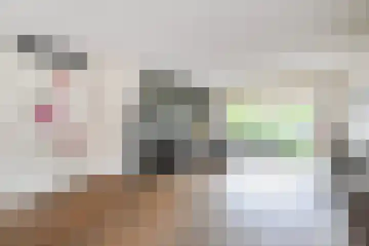 Fie Carelsenlaan 39 Den Haag thumbnail 11