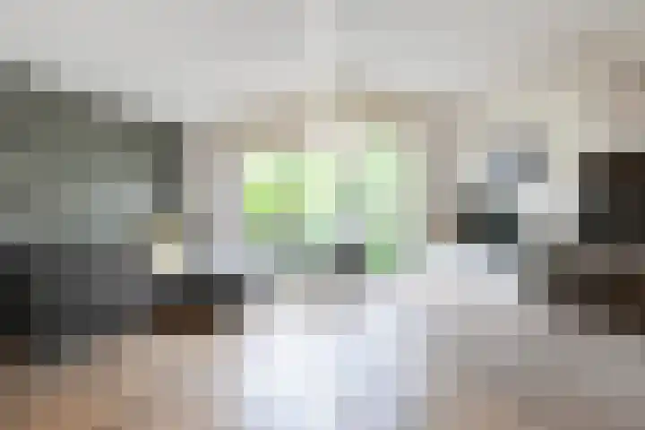 Fie Carelsenlaan 39 Den Haag thumbnail 12