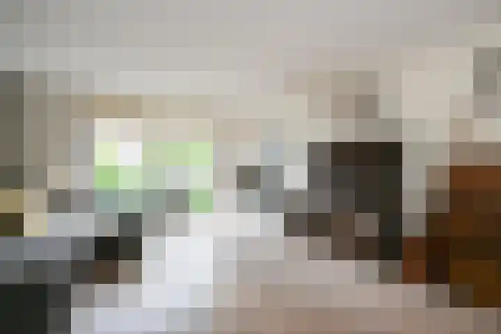 Fie Carelsenlaan 39 Den Haag thumbnail 13