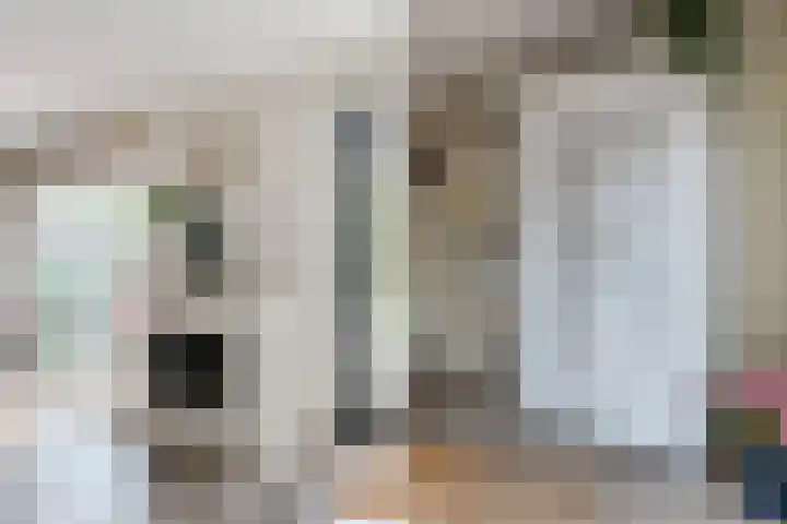 Fie Carelsenlaan 39 Den Haag thumbnail 14
