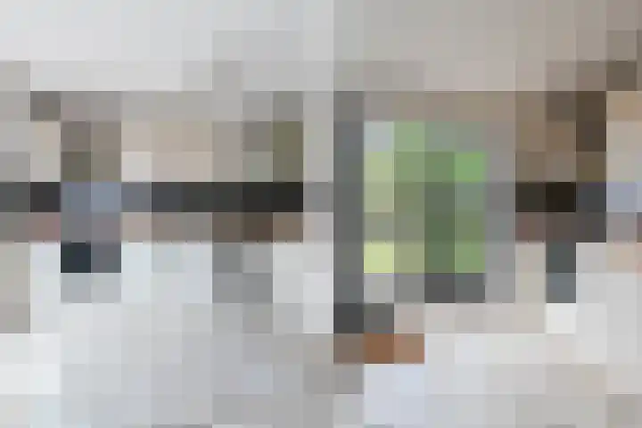 Fie Carelsenlaan 39 Den Haag thumbnail 18