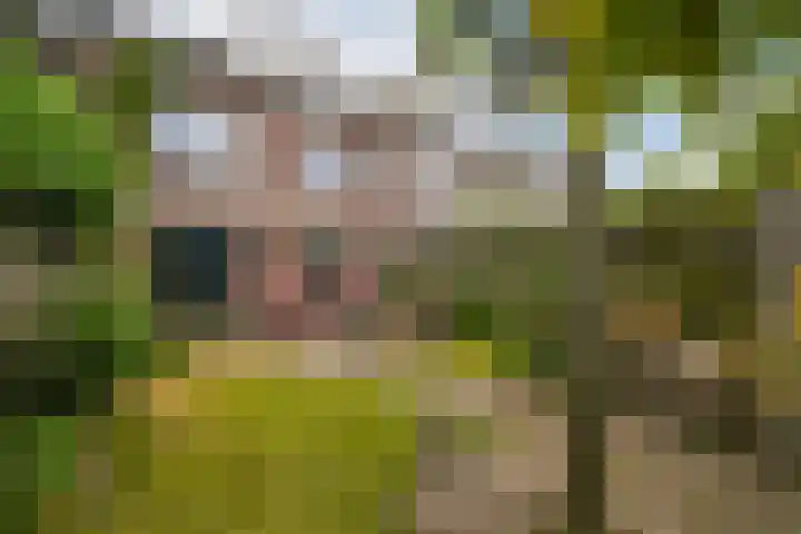 Fie Carelsenlaan 39 Den Haag thumbnail 22