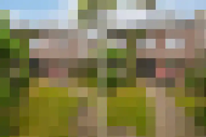 Fie Carelsenlaan 39 Den Haag thumbnail 23