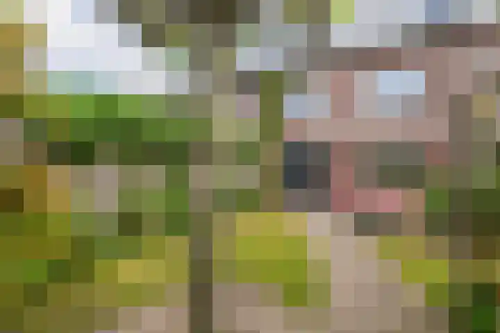 Fie Carelsenlaan 39 Den Haag thumbnail 24