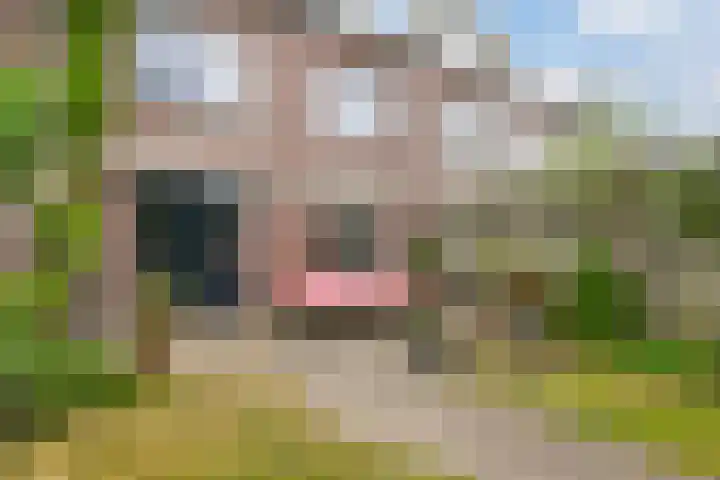 Fie Carelsenlaan 39 Den Haag thumbnail 25