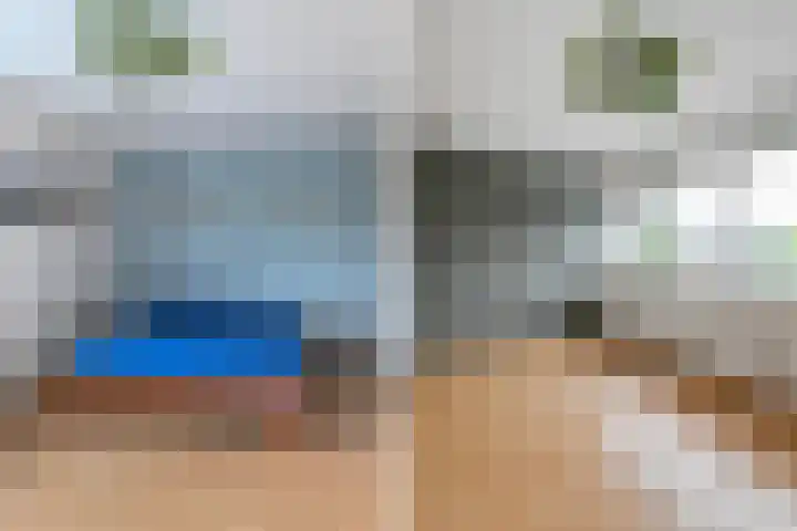 Fie Carelsenlaan 39 Den Haag thumbnail 31