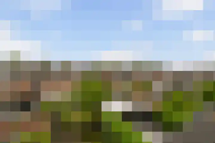 Fie Carelsenlaan 39 Den Haag thumbnail 33