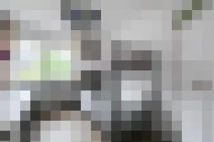Fie Carelsenlaan 39 Den Haag thumbnail 36