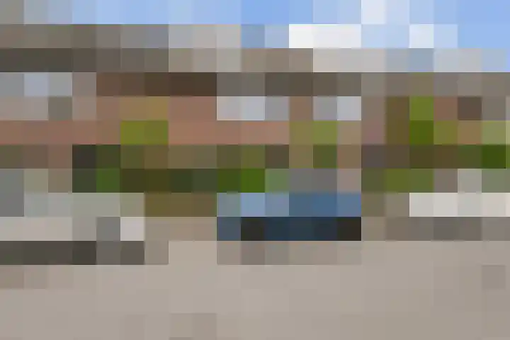 Fie Carelsenlaan 39 Den Haag thumbnail 4