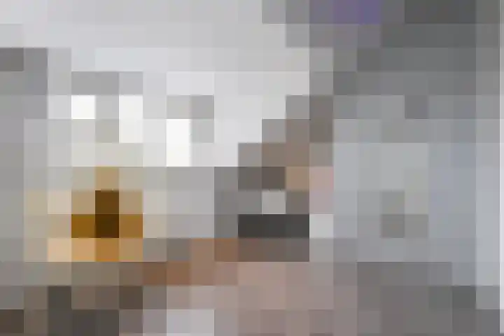 Fie Carelsenlaan 39 Den Haag thumbnail 47
