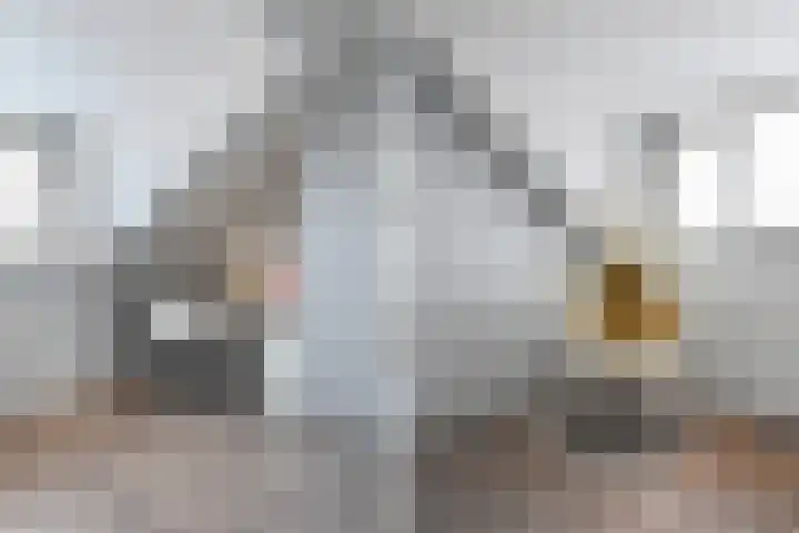 Fie Carelsenlaan 39 Den Haag thumbnail 48