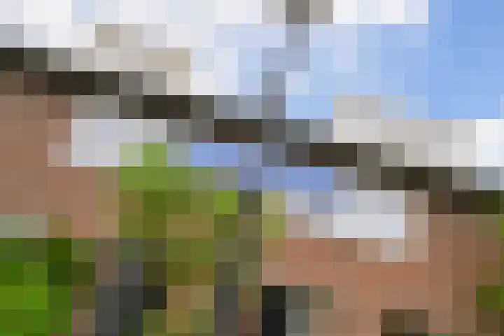 Fie Carelsenlaan 39 Den Haag thumbnail 5