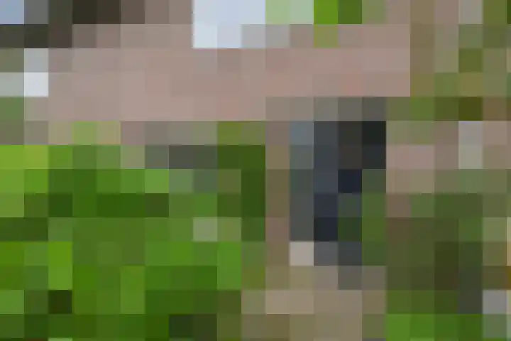 Fie Carelsenlaan 39 Den Haag thumbnail 6