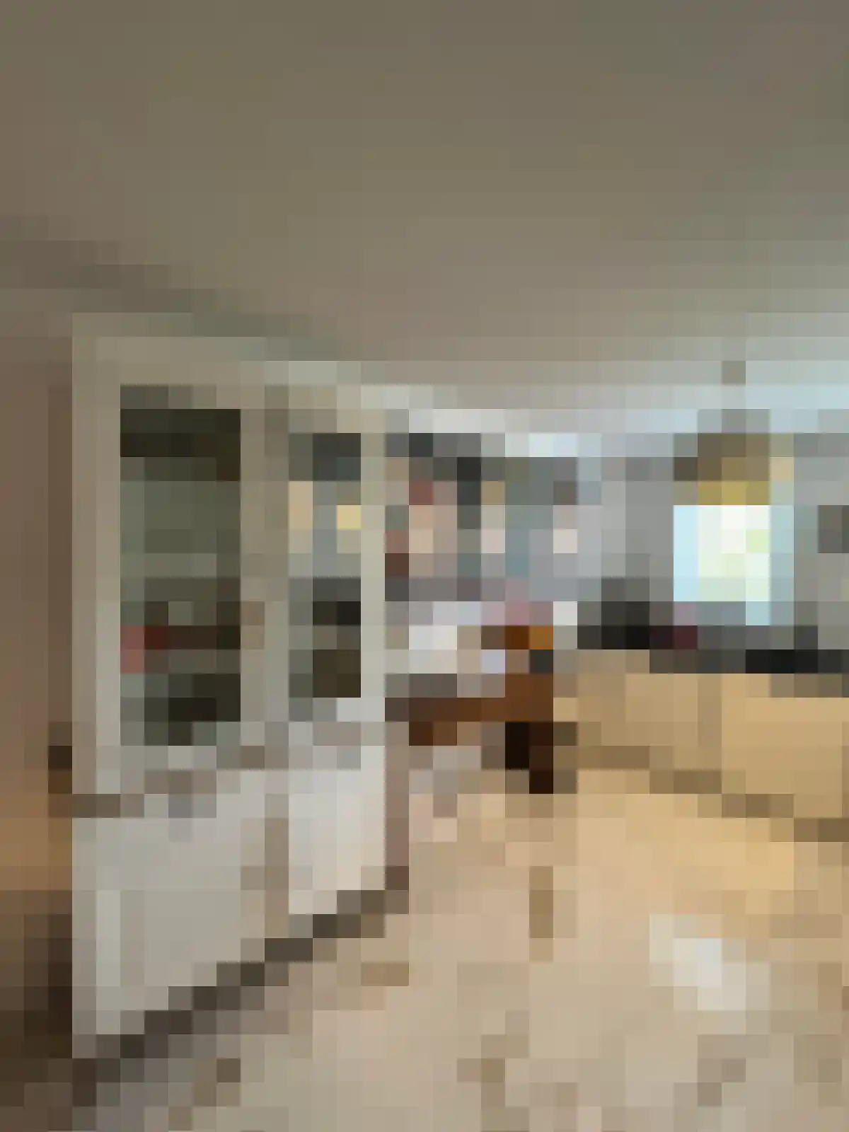 Fie Carelsenlaan 71 Den Haag thumbnail 6