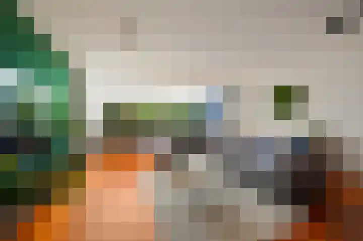 Fie Carelsenlaan 75 Den Haag thumbnail 10