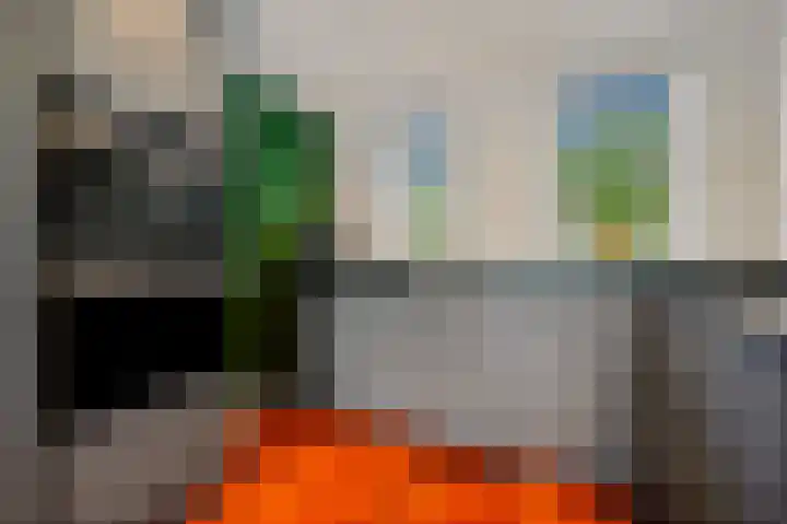 Fie Carelsenlaan 75 Den Haag thumbnail 25