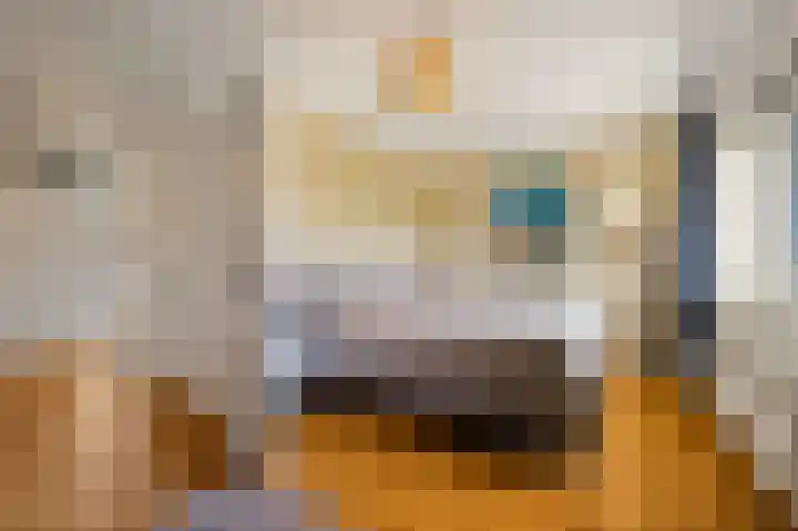 Fie Carelsenlaan 75 Den Haag thumbnail 34