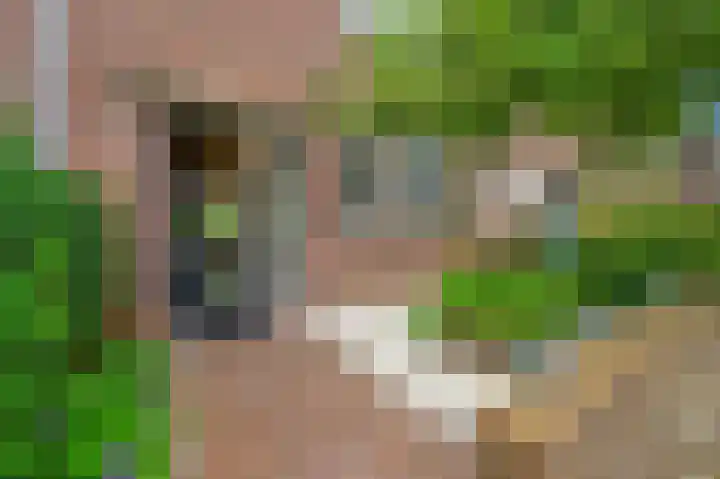 Fie Carelsenlaan 75 Den Haag thumbnail 6