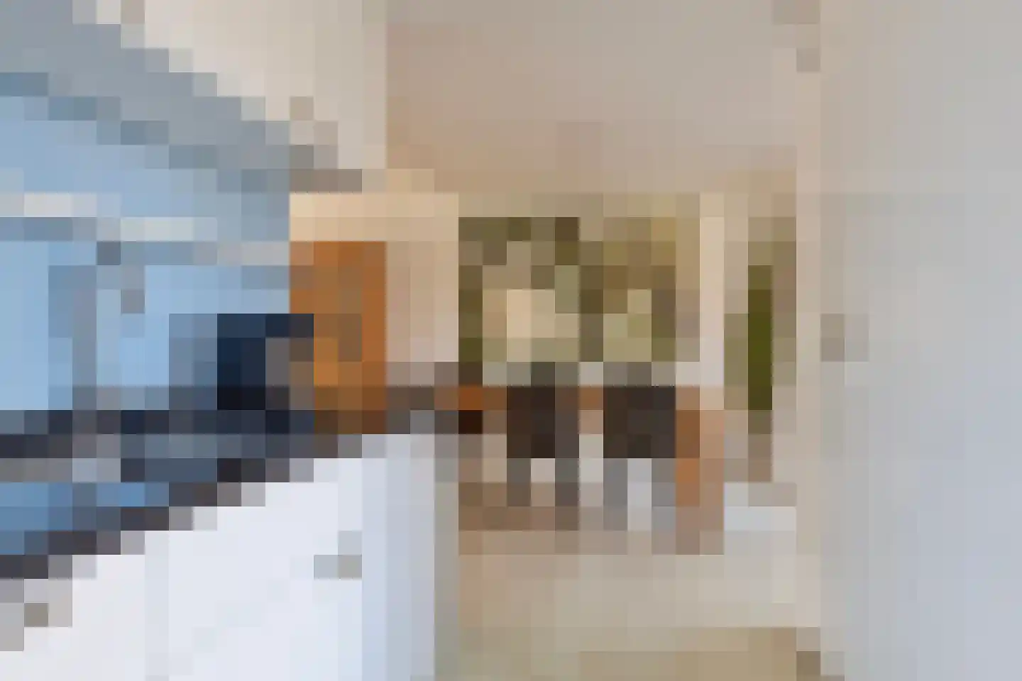 Fie Carelsenstraat 11 Hengelo thumbnail 20