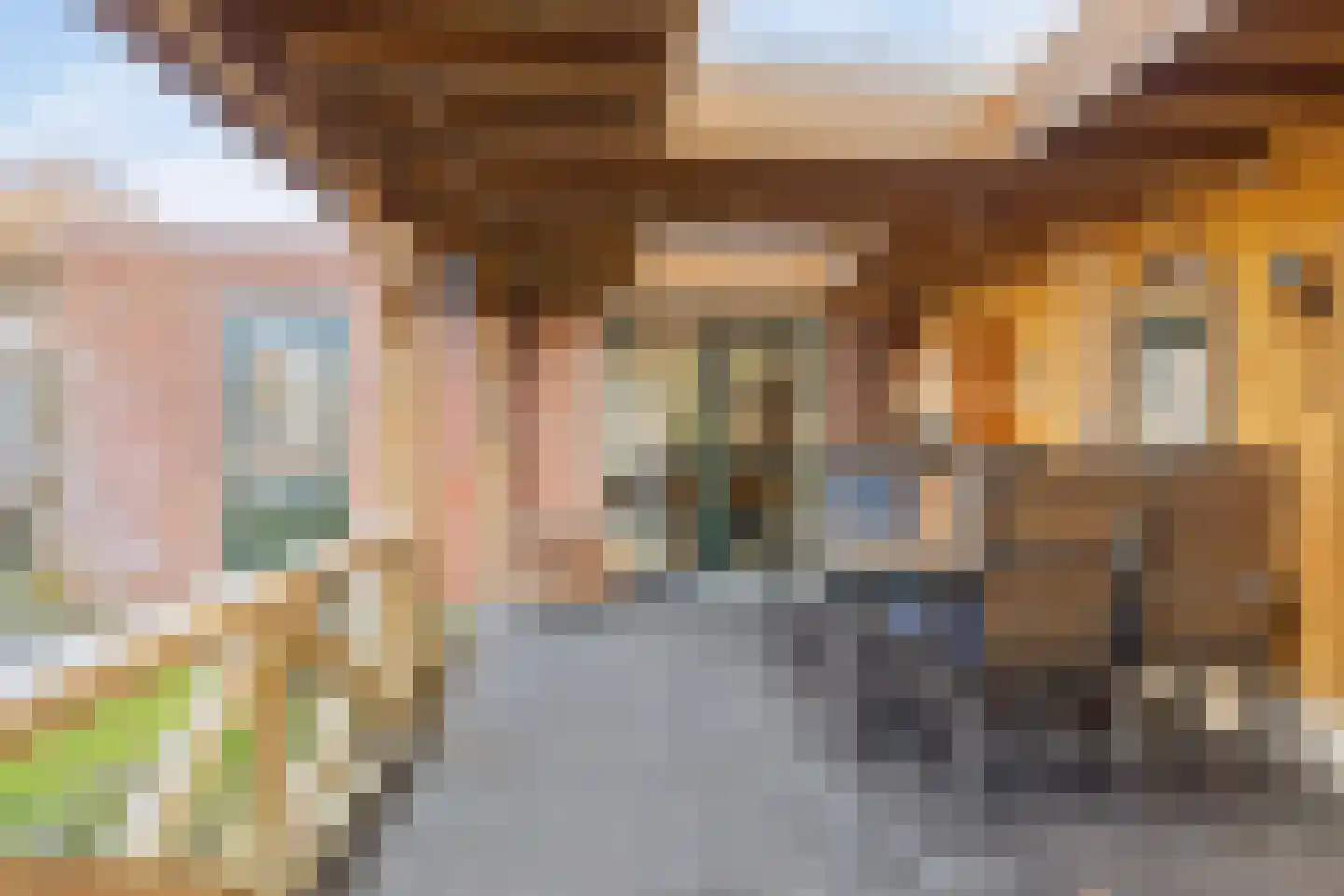 Fie Carelsenstraat 11 Hengelo thumbnail 42