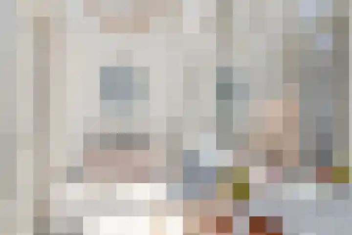 Fie Carelsenstraat 18 Spijkenisse thumbnail 12