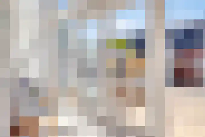 Fie Carelsenstraat 18 Spijkenisse thumbnail 13