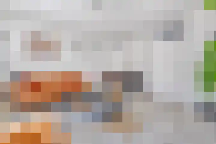 Fie Carelsenstraat 18 Spijkenisse thumbnail 17
