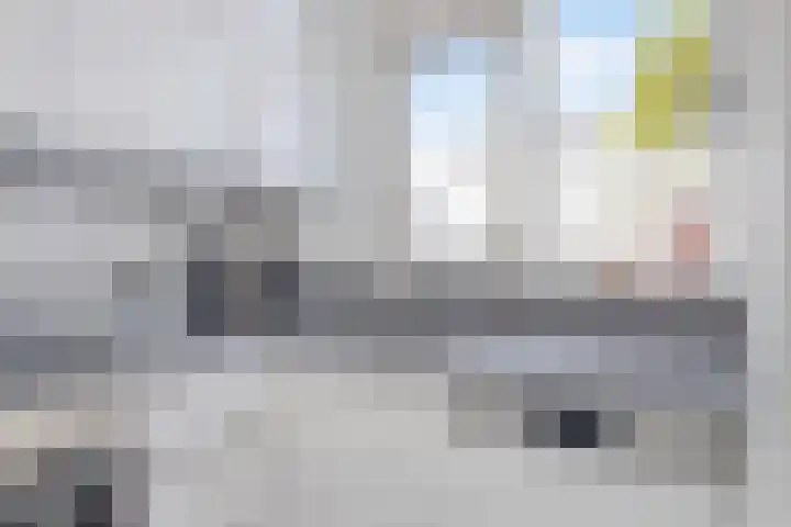 Fie Carelsenstraat 18 Spijkenisse thumbnail 20