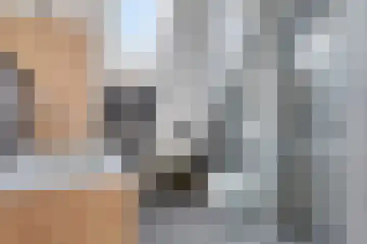 Fie Carelsenstraat 18 Spijkenisse thumbnail 25
