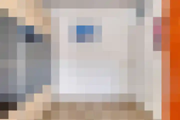 Fie Carelsenstraat 18 Spijkenisse thumbnail 28