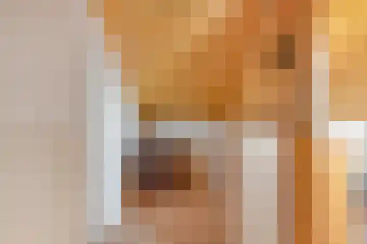 Fie Carelsenstraat 18 Spijkenisse thumbnail 31