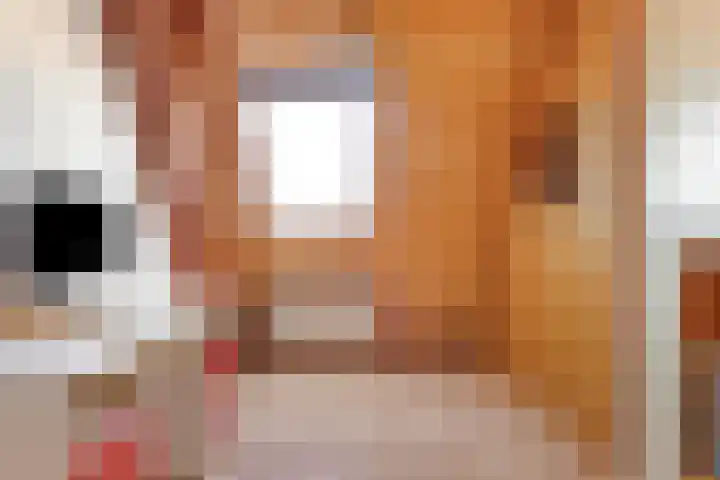 Fie Carelsenstraat 18 Spijkenisse thumbnail 33