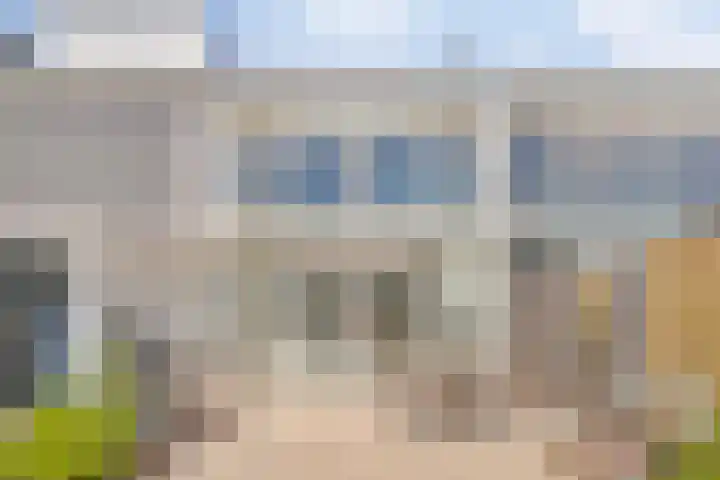 Fie Carelsenstraat 18 Spijkenisse thumbnail 5