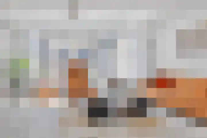 Fie Carelsenstraat 18 Spijkenisse thumbnail 9