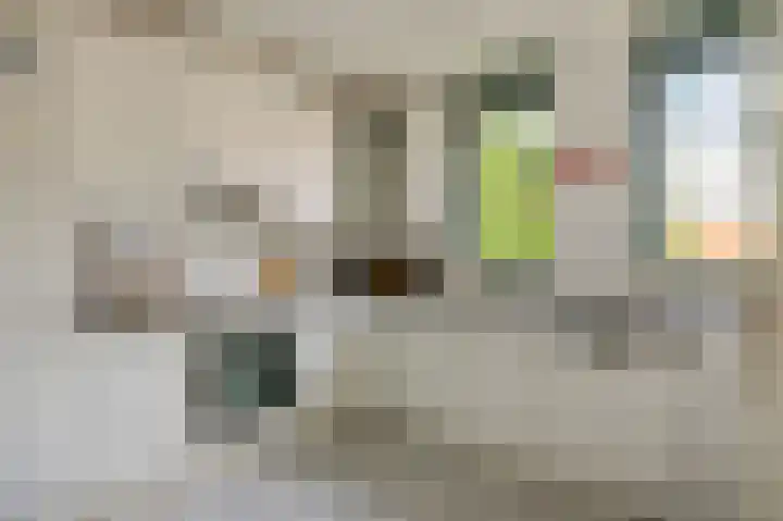 Fie Carelsenstraat 2 Hoofddorp thumbnail 14