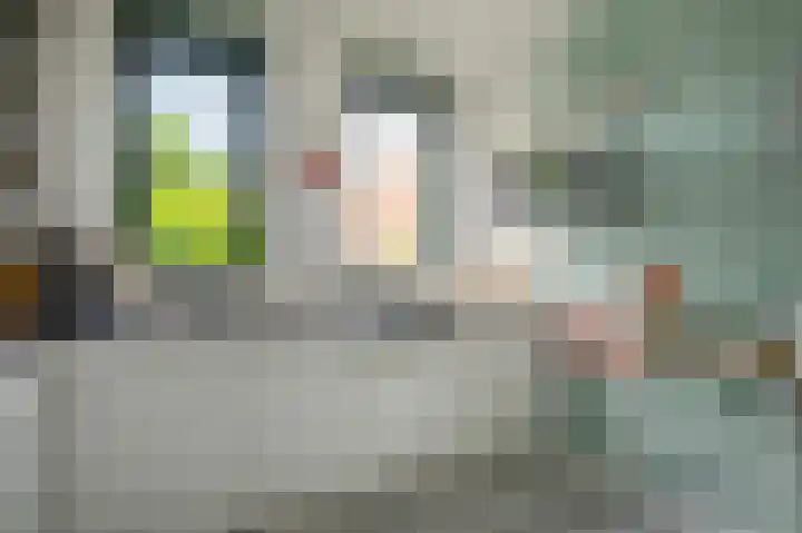 Fie Carelsenstraat 2 Hoofddorp thumbnail 15