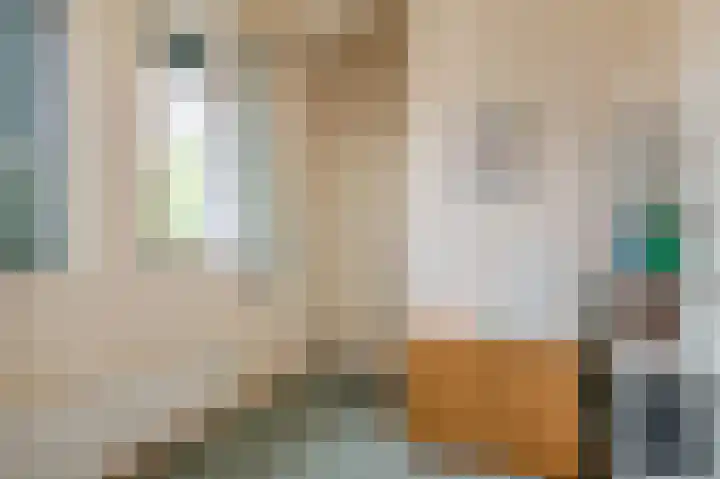 Fie Carelsenstraat 2 Hoofddorp thumbnail 24