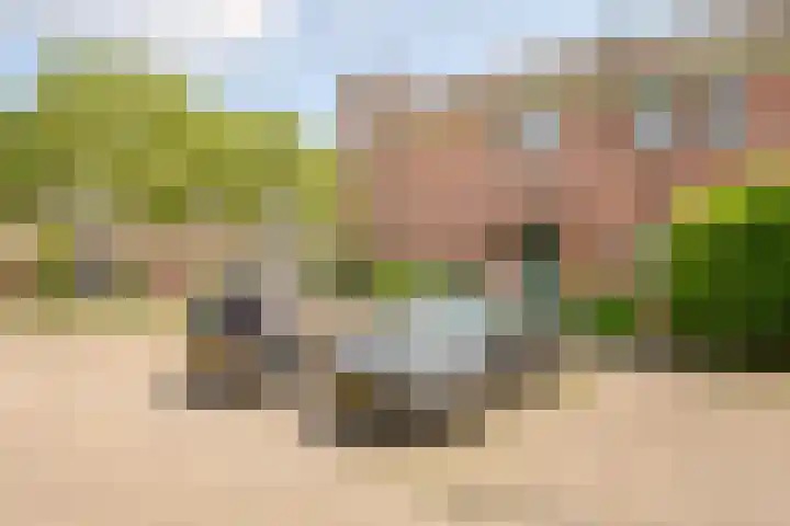 Fie Carelsenstraat 2 Hoofddorp thumbnail 34