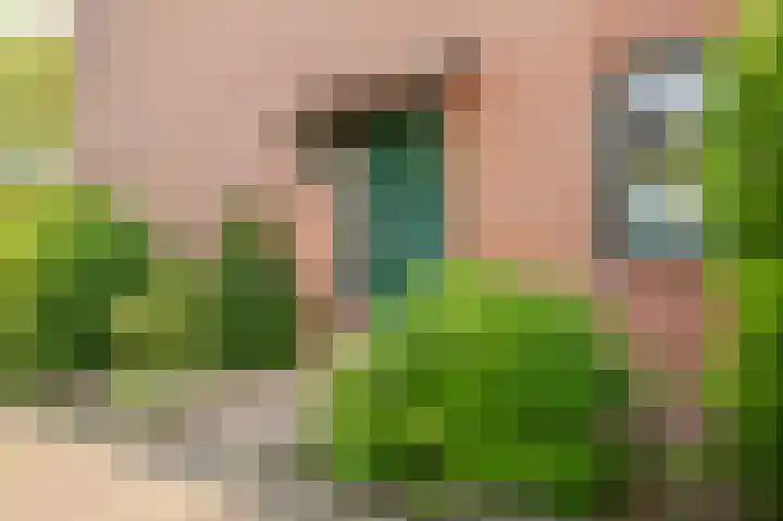 Fie Carelsenstraat 2 Hoofddorp thumbnail 4
