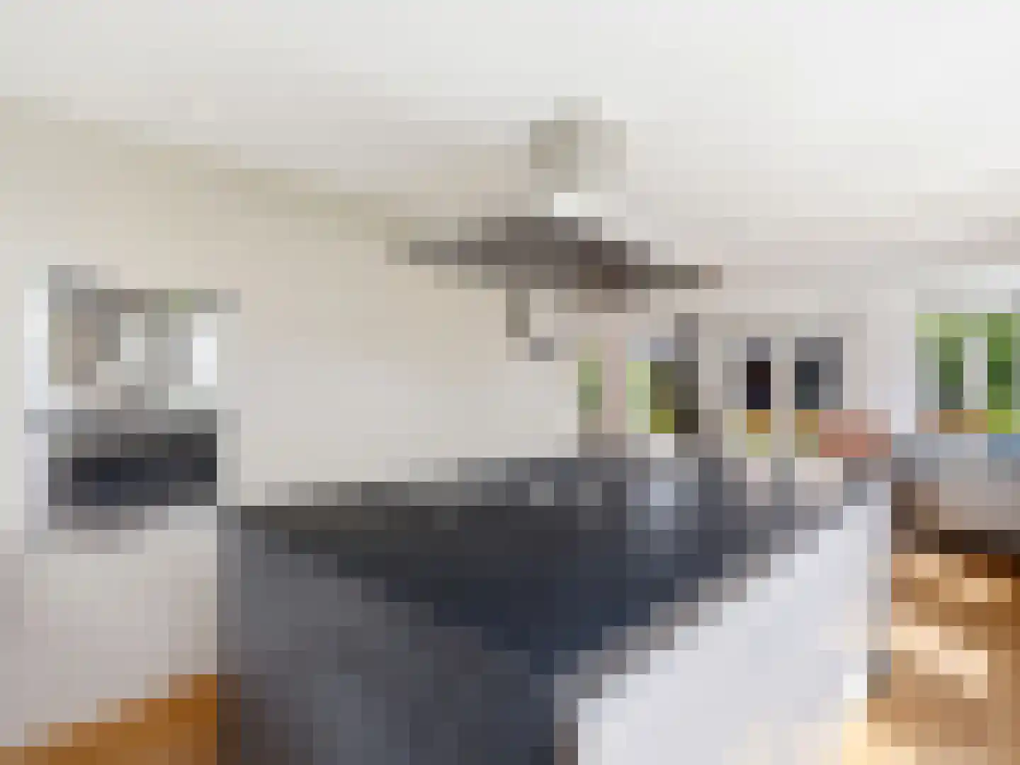 Fie Carelsenstraat 2 Zutphen thumbnail 11