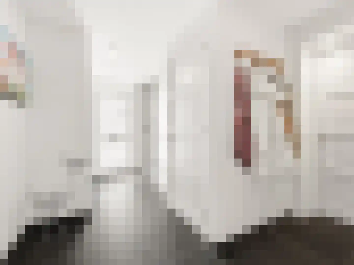 Fie Carelsenstraat 2 Zutphen thumbnail 13