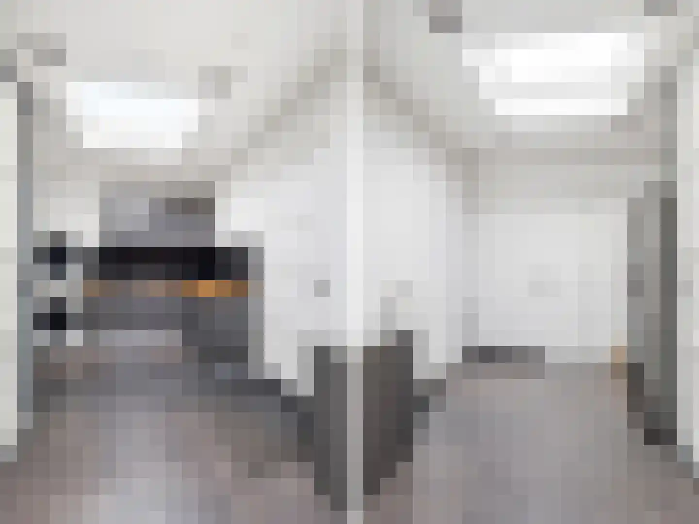 Fie Carelsenstraat 2 Zutphen thumbnail 14