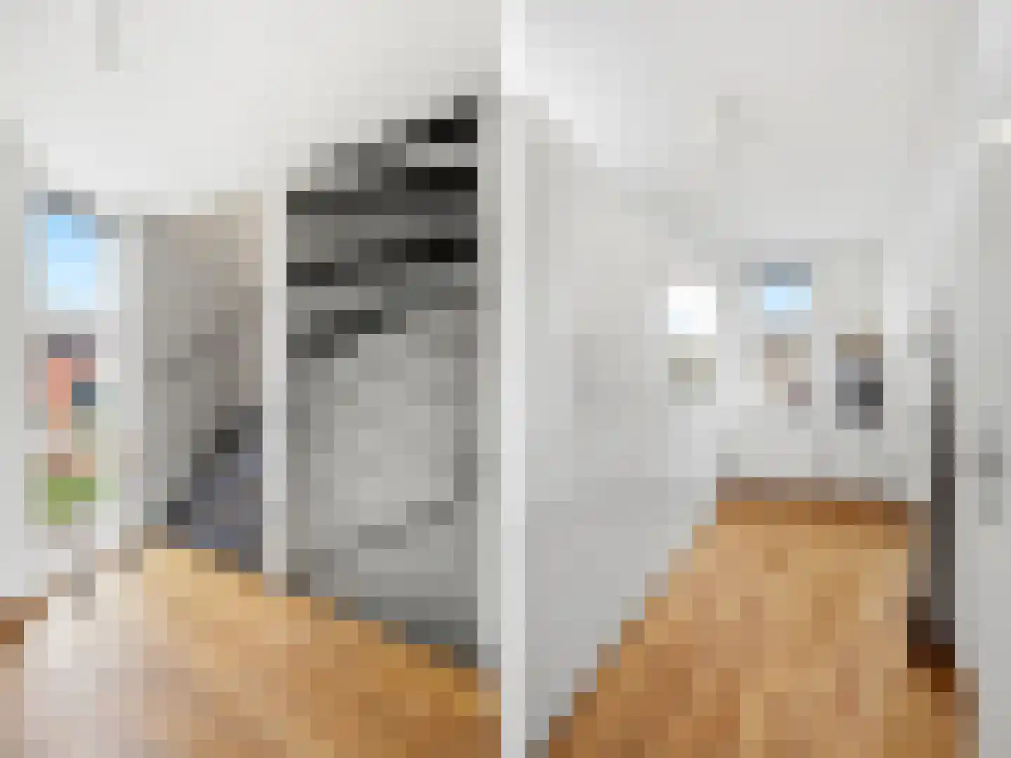 Fie Carelsenstraat 2 Zutphen thumbnail 21