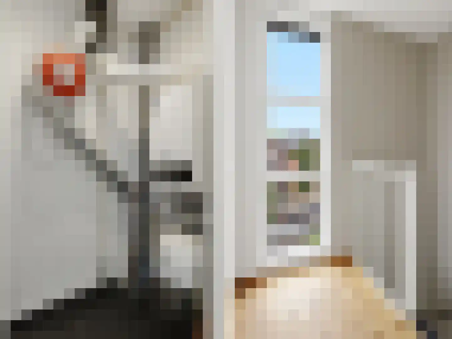 Fie Carelsenstraat 2 Zutphen thumbnail 25