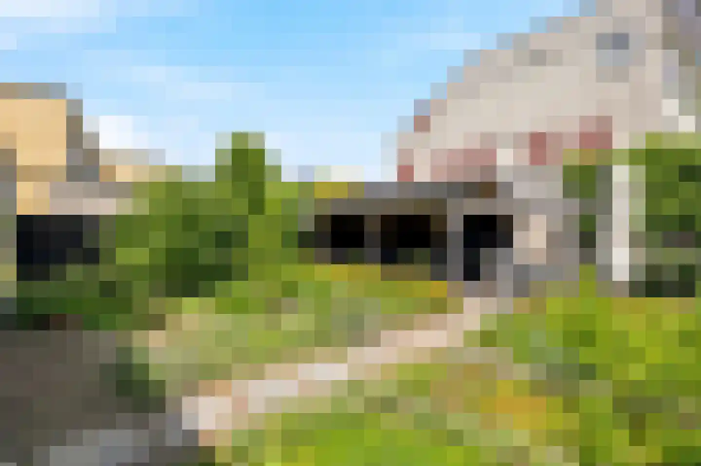 Fie Carelsenstraat 2 Zutphen thumbnail 33