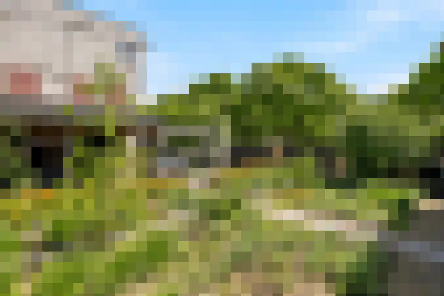 Fie Carelsenstraat 2 Zutphen thumbnail 34