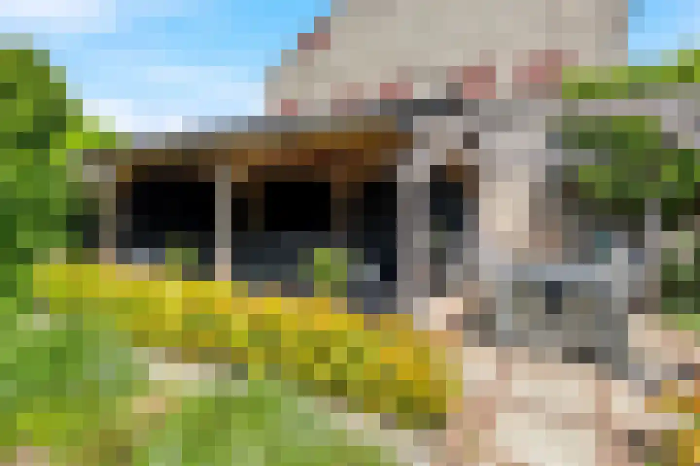 Fie Carelsenstraat 2 Zutphen thumbnail 38