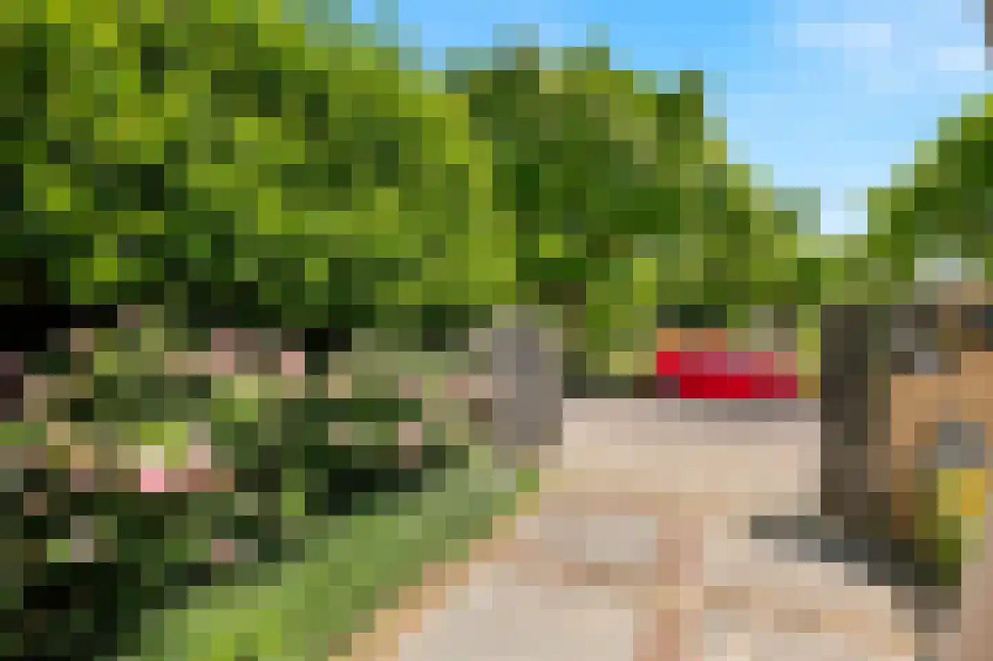 Fie Carelsenstraat 2 Zutphen thumbnail 42