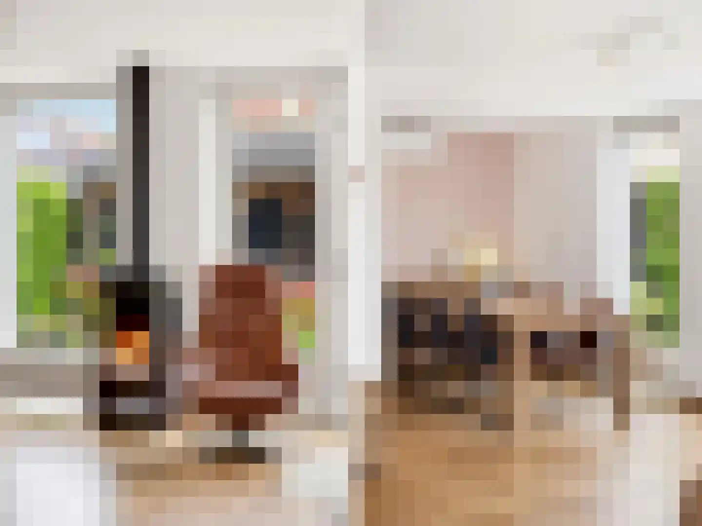Fie Carelsenstraat 2 Zutphen thumbnail 9