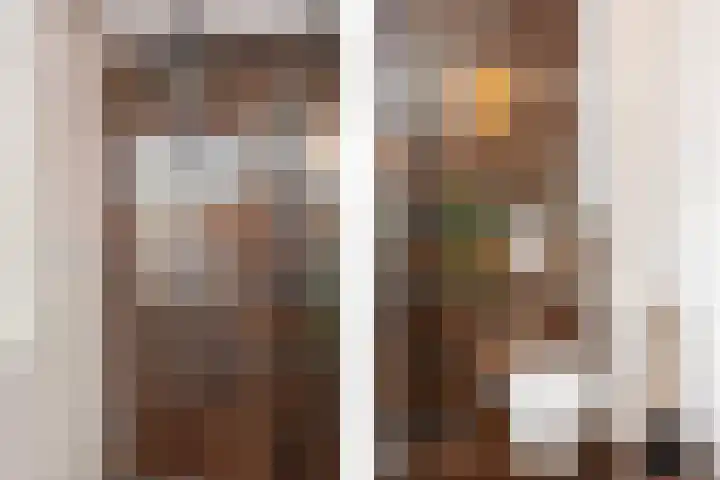 Fie Carelsenstraat 20 Hengelo thumbnail 19